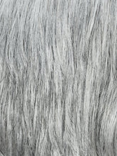 Load image into Gallery viewer, Steven Sport | HAIRforMANce | Men&#39;s Synthetic Wig Ellen Wille
