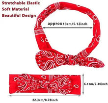 Load image into Gallery viewer, paisley printed fashion headband &amp; hair scrunchies accessories set
