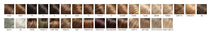 Load image into Gallery viewer, top style 12 human hair topper
