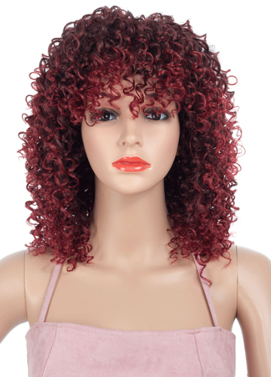 Latisha Heat Resistant Kinky Curly Wig Wig Store