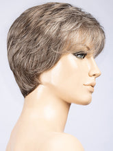 Load image into Gallery viewer, Cara Small Deluxe | Hair Power | Synthetic Wig Ellen Wille