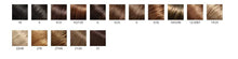 Load image into Gallery viewer, Easi Part - 12&quot; Human Hair Top Piece Hair Addition Easi Hair
