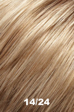 Load image into Gallery viewer, Jon Renau Wigs - Gaby (#5348)
