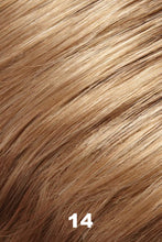 Load image into Gallery viewer, Jon Renau Wigs - Gaby (#5348)
