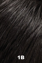 Load image into Gallery viewer, Jon Renau Wigs - Brenna (#6012) - Remy Human Hair
