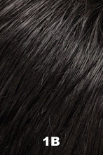 Load image into Gallery viewer, Jon Renau Wigs - Phoenix (#814/814A) - Remy Human Hair
