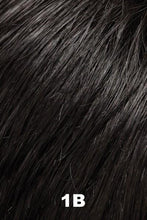 Load image into Gallery viewer, Jon Renau Wigs - Katherine (#5974)
