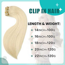 Load image into Gallery viewer, Double Weft Clip in Hair Extensions Human Hair Clip in Hair Extensions Wig Store
