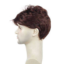 Load image into Gallery viewer, Short Straight Synthetic Mens Wig Wig Store
