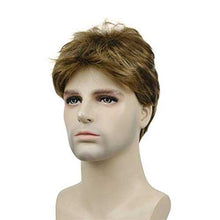 Load image into Gallery viewer, Short Straight Synthetic Mens Wig Wig Store
