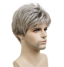 Load image into Gallery viewer, Short Straight Synthetic Mens Wig Wig Store
