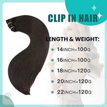 Load image into Gallery viewer, Double Weft Clip in Hair Extensions Human Hair Clip in Hair Extensions Wig Store
