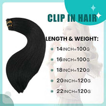 Load image into Gallery viewer, Double Weft Clip in Hair Extensions Human Hair Clip in Hair Extensions Wig Store
