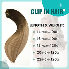 Load image into Gallery viewer, Double Weft Clip in Hair Extensions Human Hair
