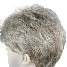 Load image into Gallery viewer, Short Straight Synthetic Mens Wig Wig Store
