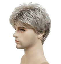 Load image into Gallery viewer, Short Straight Synthetic Mens Wig Wig Store
