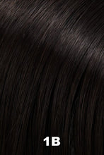 Load image into Gallery viewer, Jon Renau Wigs - Vanessa (#5386)
