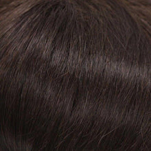 Load image into Gallery viewer, 125 Diva by WIGPRO - Hand Tied, Lace Front Wig WigUSA
