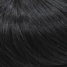 Load image into Gallery viewer, 126 Viva by WIGPRO - Hand Tied Wig Wig USA
