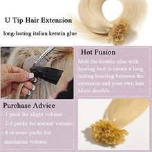 Load image into Gallery viewer, Keratin Fushion Bonded U Tip Human Hair Extensions - 100 Strands/Pack 50g Wig Store
