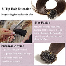 Load image into Gallery viewer, Keratin Fushion Bonded U Tip Human Hair Extensions - 100 Strands/Pack 50g Wig Store
