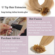 Load image into Gallery viewer, Keratin Fushion Bonded U Tip Human Hair Extensions - 100 Strands/Pack 50g Wig Store
