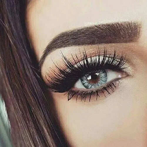 eyelash #600