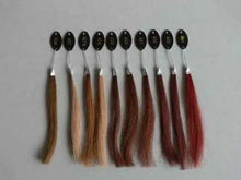 Load image into Gallery viewer, human hair color ring for custom made wigs &amp; full lace human wigs
