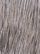 Load image into Gallery viewer, Roger 5 Stars | HAIRforMANce | Men&#39;s Synthetic Wig Ellen Wille
