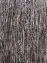 Load image into Gallery viewer, Roger 5 Stars | HAIRforMANce | Men&#39;s Synthetic Wig Ellen Wille
