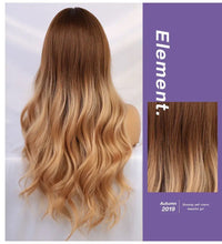 Load image into Gallery viewer, michela rooted long ombre wig
