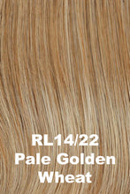 Load image into Gallery viewer, Raquel Welch Wigs - Day to Date
