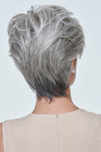 Load image into Gallery viewer, Raquel Welch Wigs - Ready For Takeoff (#RDYTKE)
