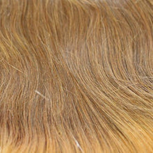 Load image into Gallery viewer, BA851 Pony Wrap ST. Long: Bali Synthetic Hair Pieces Bali
