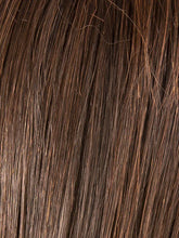Load image into Gallery viewer, Cher | Hair Power | Heat Friendly Synthetic Wig Ellen Wille
