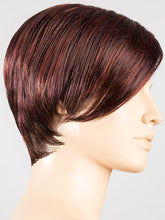 Load image into Gallery viewer, Disc | Hair Power | Synthetic Wig Ellen Wille
