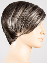 Load image into Gallery viewer, Disc | Hair Power | Synthetic Wig Ellen Wille
