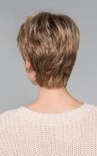 Load image into Gallery viewer, Fair | Hair Power | Synthetic Wig Ellen Wille
