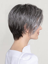 Load image into Gallery viewer, Aletta | Modixx Collection | Heat Friendly Synthetic Wig Ellen Wille
