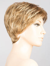 Load image into Gallery viewer, Fair | Hair Power | Synthetic Wig Ellen Wille
