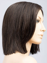 Load image into Gallery viewer, Lia II | Changes Collection | Heat Friendly Synthetic Wig Ellen Wille
