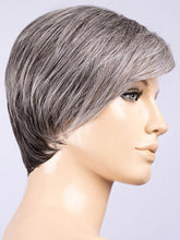 Load image into Gallery viewer, Link | Perucci | Heat Friendly Synthetic Wig Ellen Wille
