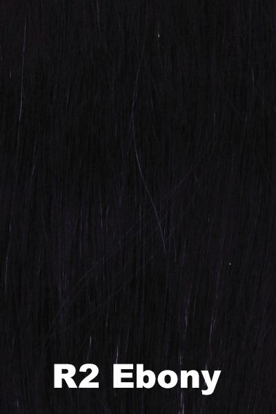 Raquel Welch Wigs - Voltage - Large