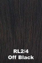 Load image into Gallery viewer, Raquel Welch Wigs - Made You Look
