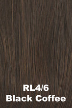 Load image into Gallery viewer, Raquel Welch Wigs - Stay the Night
