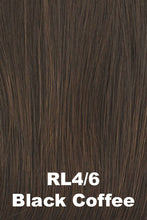 Load image into Gallery viewer, Raquel Welch Wigs - Fierce &amp; Focused
