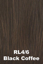 Load image into Gallery viewer, Raquel Welch Wigs - Heard It All
