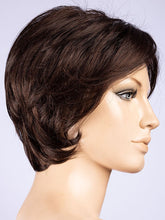 Load image into Gallery viewer, Satin | Hair Society | Synthetic Wig Ellen Wille
