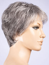 Load image into Gallery viewer, Spa | Hair Society | Synthetic Wig Ellen Wille
