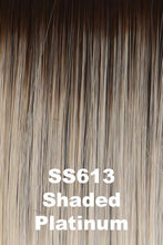Load image into Gallery viewer, Raquel Welch Wigs - Winner
